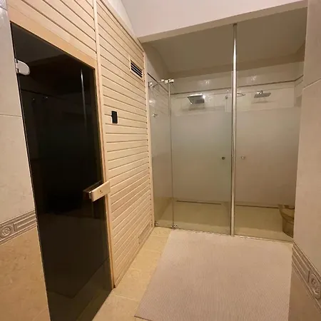 Apartment Apartma Premium Karlovy Vary